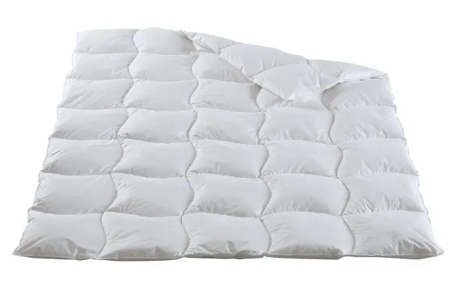 Ganzjahres-Duvet 6166 von Dorbena Daunen Swiss 740g ca. 200x210cm