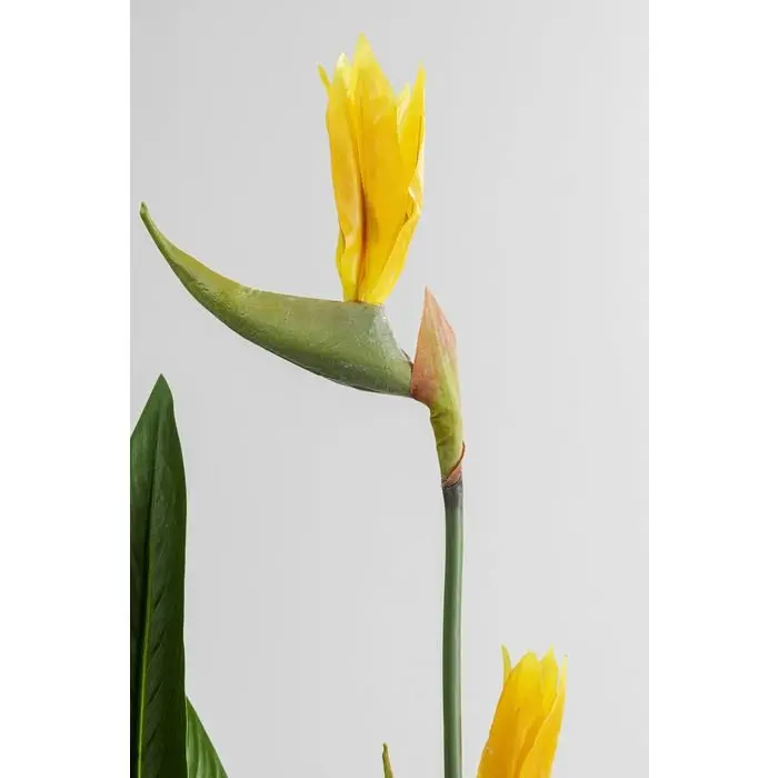 Deko Pflanze Paradise von Kare Blätter: Ethylenvinylacetat Topf: Polyethylen ca. 50x190x40cm