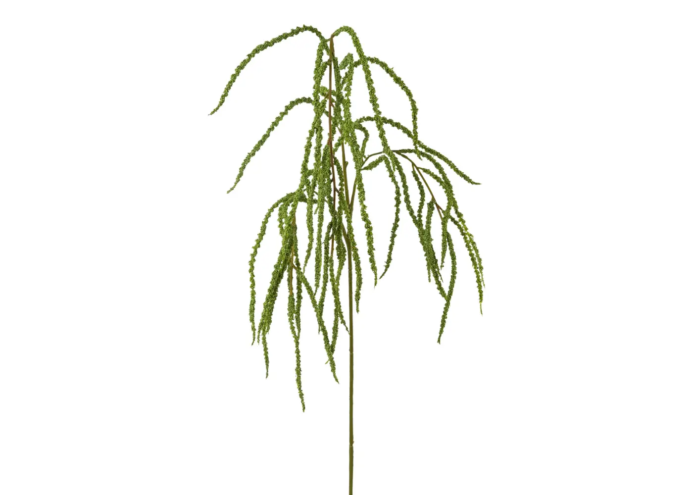 Amaranthus 102cm 102cm, grün